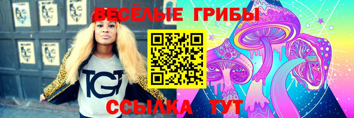 Лесной  Галлюциногенные грибы Cubensis  Вход с VPN 